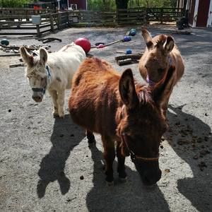 Meet your Posher, Christopher